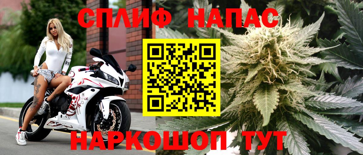 Бошки марихуана THC 21% Кубинка